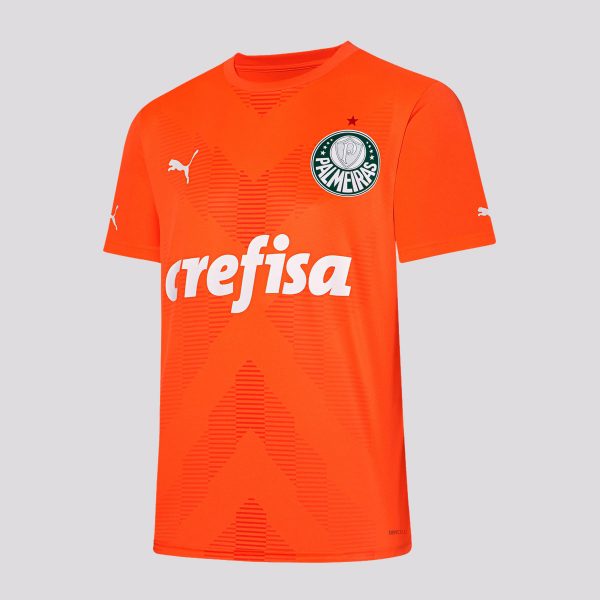 Camisa Puma Palmeiras Goleiro III 2023