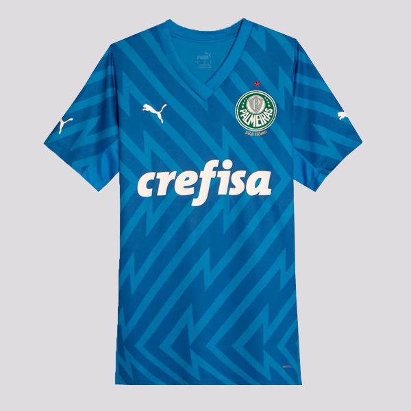 Camisa Puma Palmeiras Goleiro I 2024 Juvenil