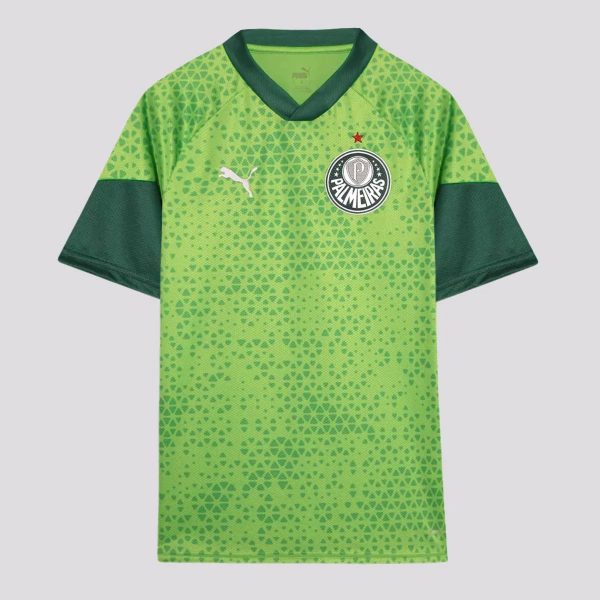 Camisa Puma Palmeiras Treino 2024 Juvenil Verde