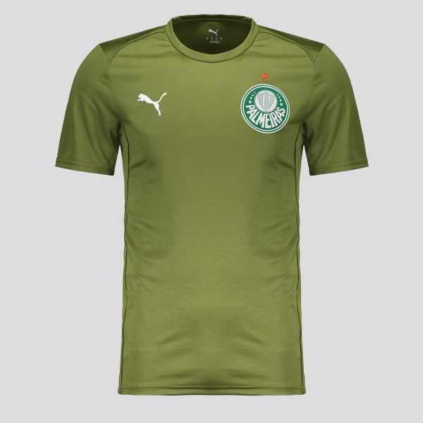 Camiseta Puma Palmeiras Casuals 2025